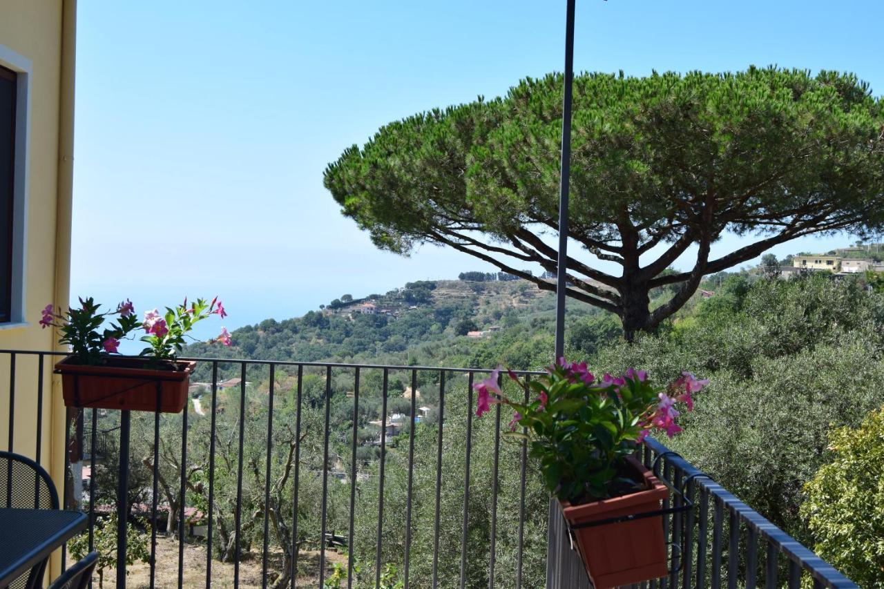 Fondo Santa Lucia SantʼAgata sui Due Golfi Quarto foto